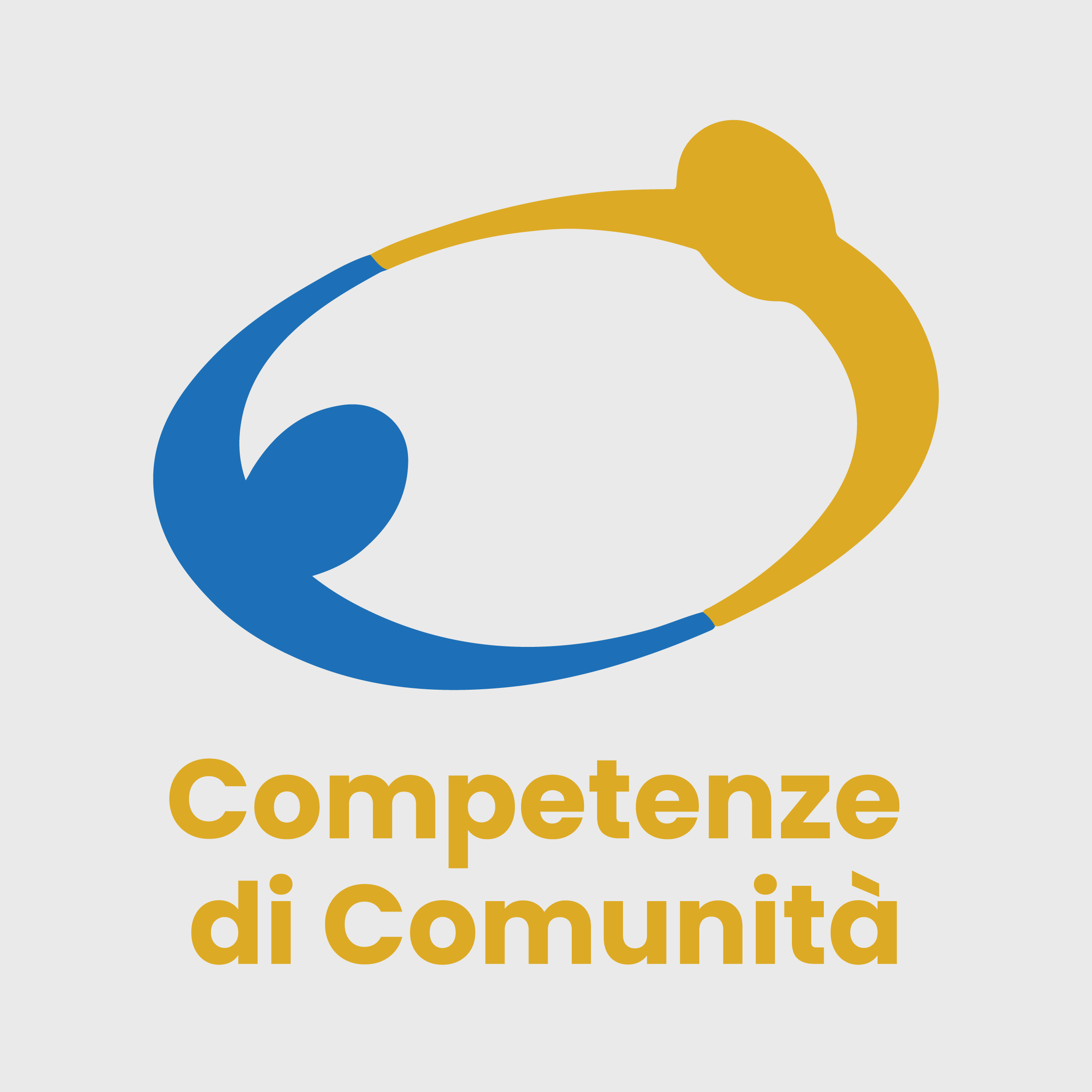 competenze_di_comunita-01