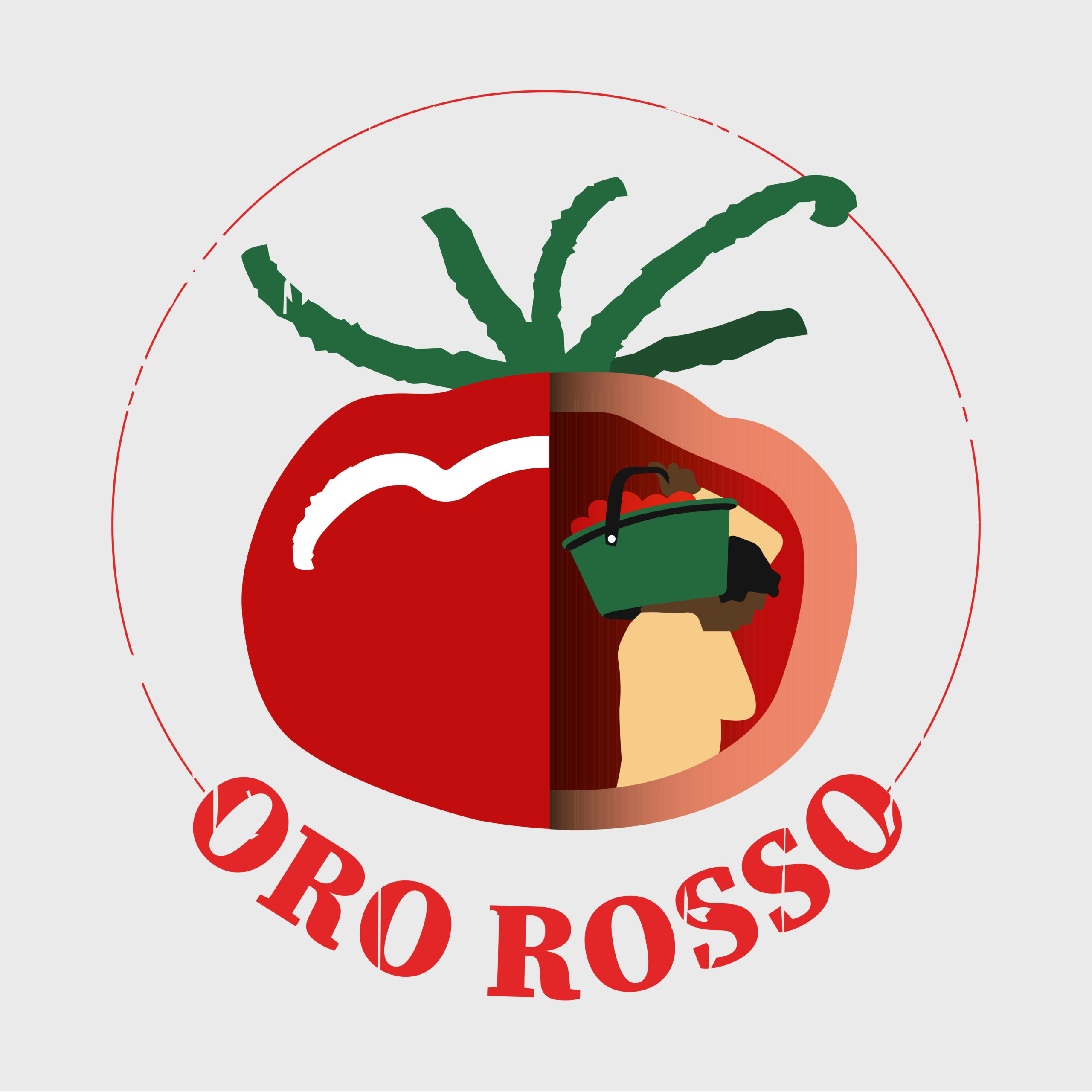 box_archivio_oro_rosso_Tavola disegno 1